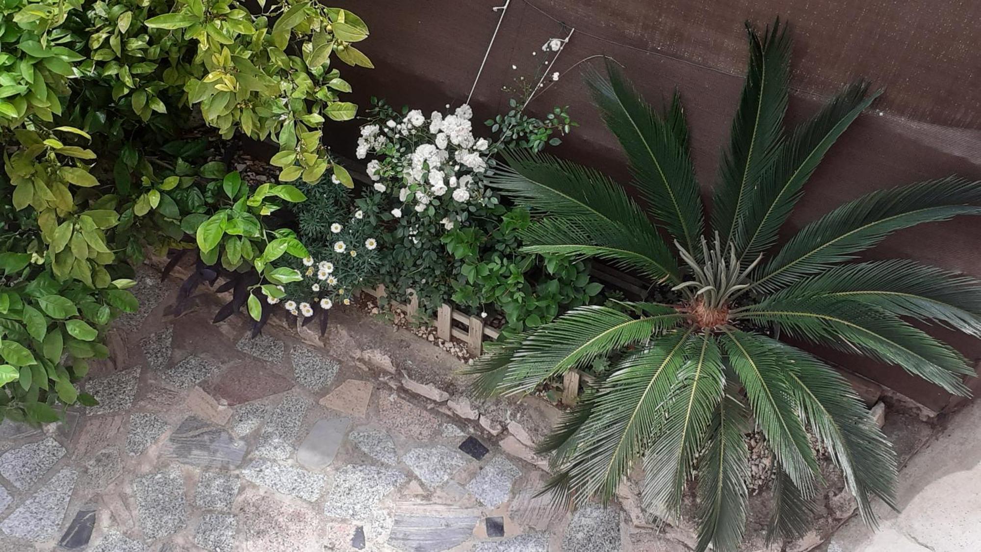 Apartmani G&M Bibinje Zewnętrze zdjęcie